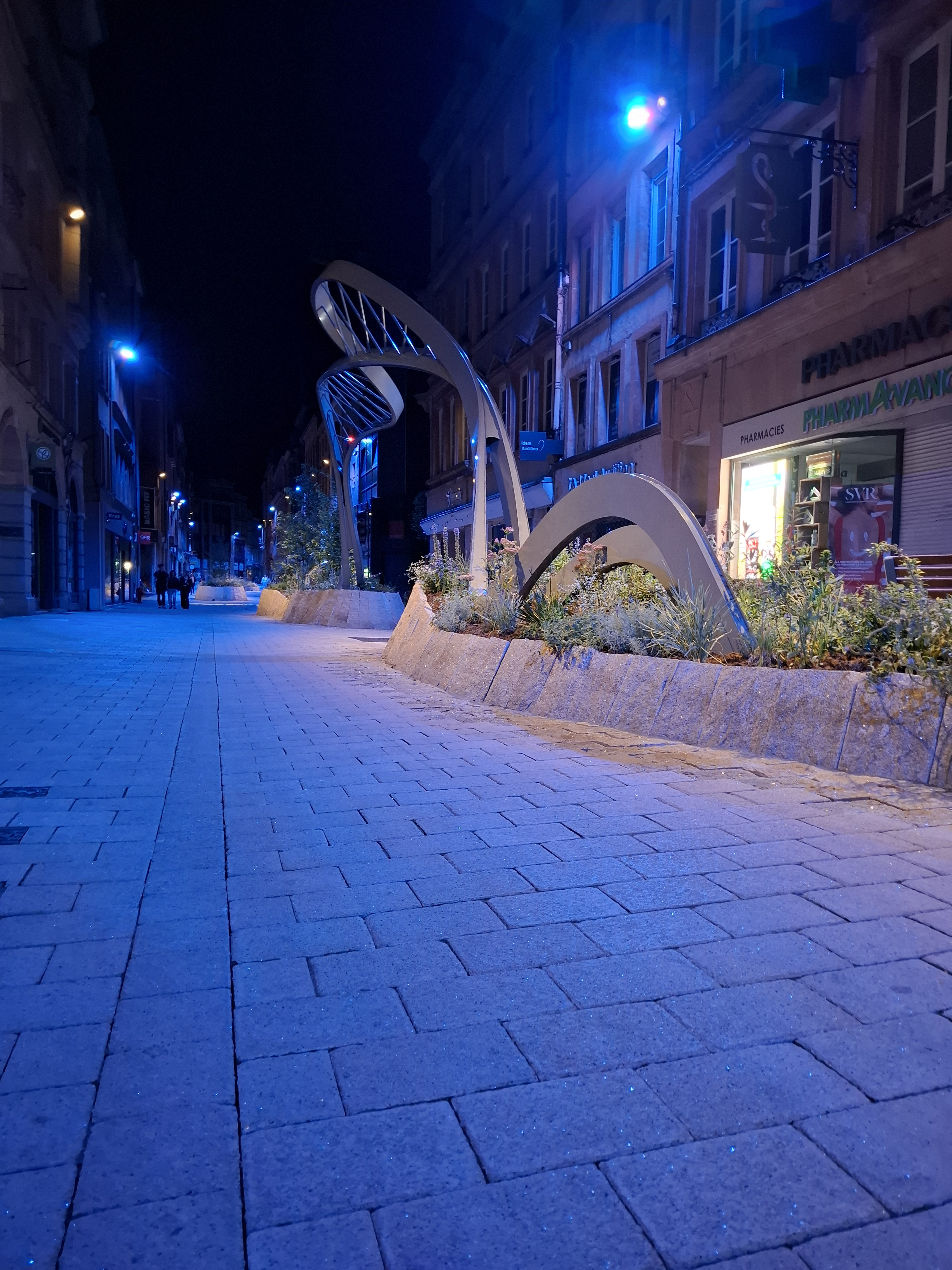 Réaménagement des rues Serpenoise et Ladoucette à Metz (57)