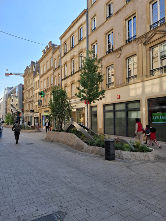 Réaménagement des rues Serpenoise et Ladoucette à Metz (57)