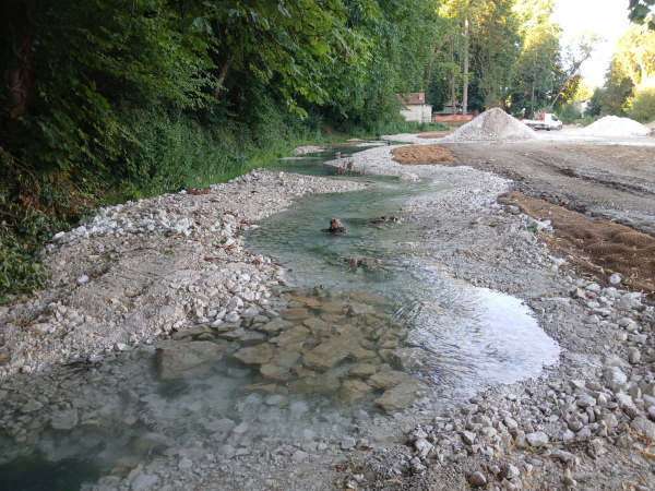 Aménagements hydrogéomorphologiques de la Seine et de la Douix à Châtillon-sur-Seine