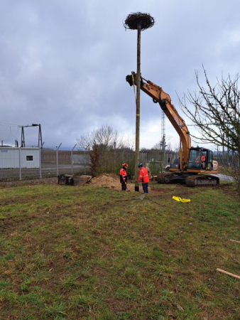 Installation d’un nid à cigognes à Suisse