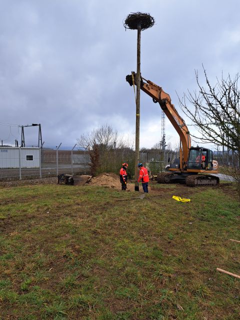 Installation d’un nid à cigognes à Suisse